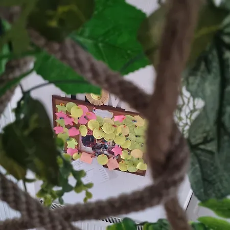 Kuca Za Odmor Nasa Prica Apartment *